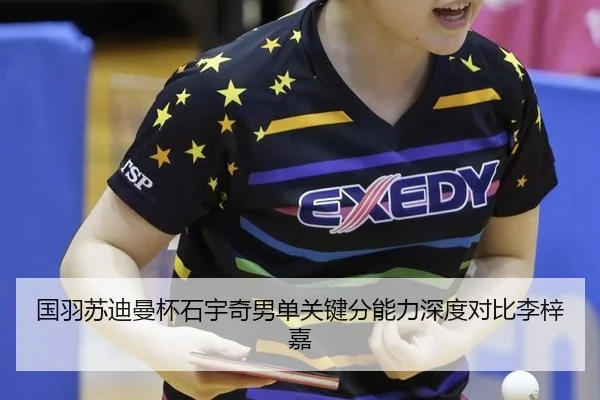 guo-yu-su-di-man-bei-shi-yu-qi-nan-dan-guan-jian-fen-neng-li-shen-du-dui-bi-li-zi-jia-2-721.jpg